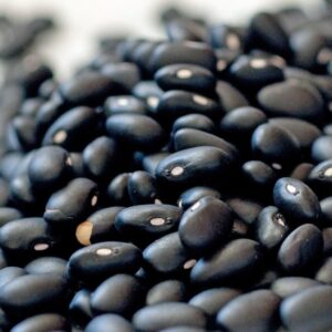 Porotos Negros